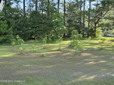 6601 Skeeter Branch Rd, Lucedale, MS 39452 photo 6