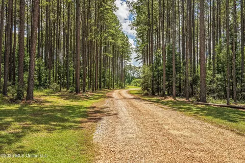 6929 Moak Rd, Summit, MS 39666 photo 36
