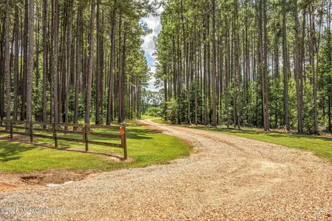 6929 Moak Rd, Summit, MS 39666 photo 2