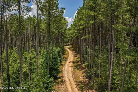 6929 Moak Rd, Summit, MS 39666 photo 4