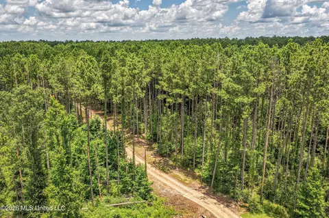 6929 Moak Rd, Summit, MS 39666 photo 16