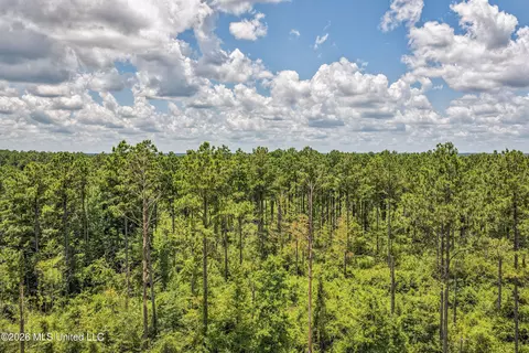 6929 Moak Rd, Summit, MS 39666 photo 14