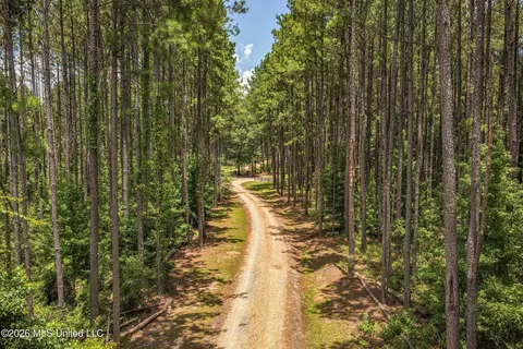 6929 Moak Rd, Summit, MS 39666 photo 20