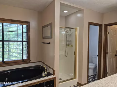 Bath - 6313 Cedarwood Dr, Jackson, MS 39213 photo 2 of 2
