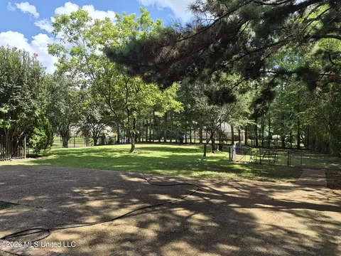 Exterior - 6313 Cedarwood Dr, Jackson, MS 39213 photo 2 of 2