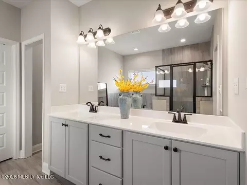 Bath - 722 Dudley Dr, Hernando, MS 38632 photo 1 of 8