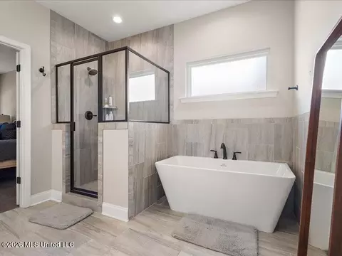 Bath - 722 Dudley Dr, Hernando, MS 38632 photo 2 of 8