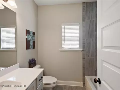 Bath - 722 Dudley Dr, Hernando, MS 38632 photo 8 of 8