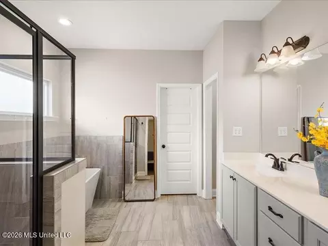 Bath - 722 Dudley Dr, Hernando, MS 38632 photo 4 of 8