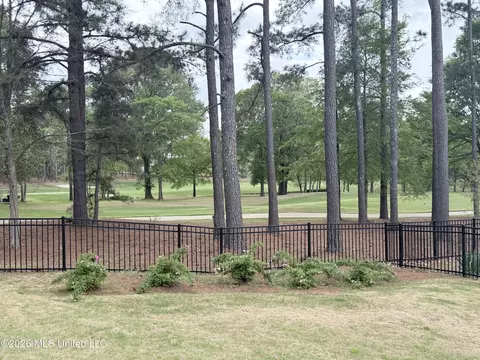 109 Dalton Pointe, Madison, MS 39110 photo 63