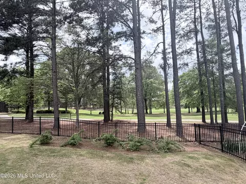 109 Dalton Pointe, Madison, MS 39110 photo 64