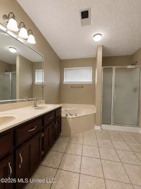 Bath - 7801 Bailee Ln, Walls, MS 38680 photo 2 of 2
