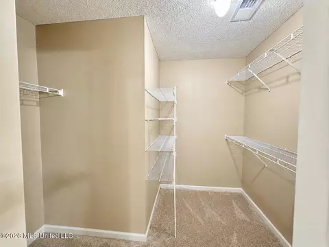 Other - 7801 Bailee Ln, Walls, MS 38680 photo 5 of 8