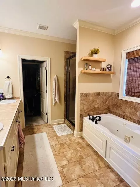 Bath - 406 Copper Ridge Dr, Florence, MS 39073 photo 2 of 2