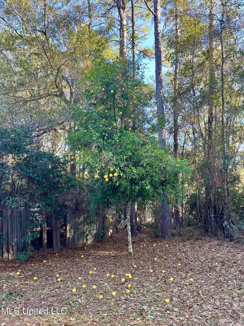9748 Limu Way, Diamondhead, MS 39525 photo 29