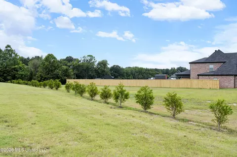 Exterior - 5441 Grays Valley Dr, Hernando, MS 38632 photo 8 of 12
