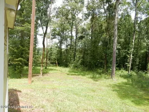 202 Moore St, Morton, MS 39117 photo 37