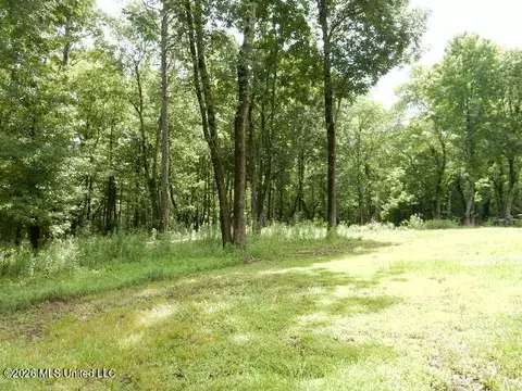 202 Moore St, Morton, MS 39117 photo 39