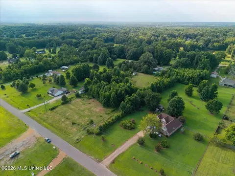 Beechtree Lane, Byhalia, MS 38611 photo 6