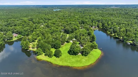 423 Robinhood Trl, Brandon, MS 39042 photo 69