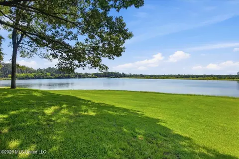 423 Robinhood Trl, Brandon, MS 39042 photo 49