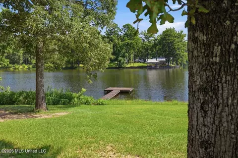423 Robinhood Trl, Brandon, MS 39042 photo 54