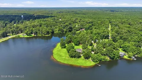 423 Robinhood Trl, Brandon, MS 39042 photo 72