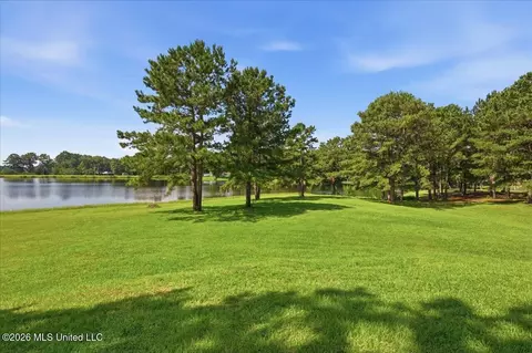 423 Robinhood Trl, Brandon, MS 39042 photo 48