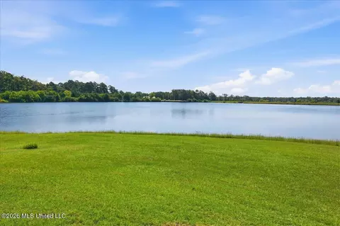423 Robinhood Trl, Brandon, MS 39042 photo 51