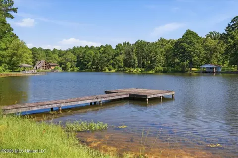 423 Robinhood Trl, Brandon, MS 39042 photo 55