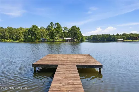 423 Robinhood Trl, Brandon, MS 39042 photo 56