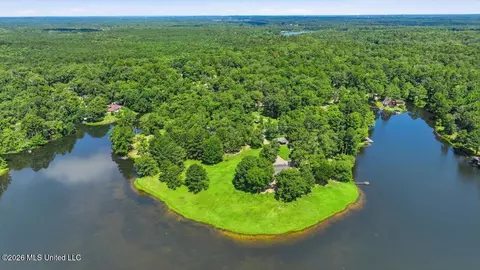 423 Robinhood Trl, Brandon, MS 39042 photo 70