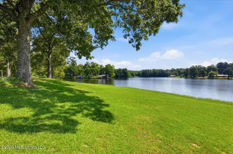 423 Robinhood Trl, Brandon, MS 39042 photo 52