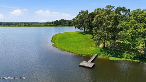 423 Robinhood Trl, Brandon, MS 39042 photo 75