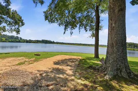 423 Robinhood Trl, Brandon, MS 39042 photo 46