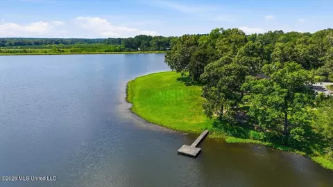 423 Robinhood Trl, Brandon, MS 39042 photo 74