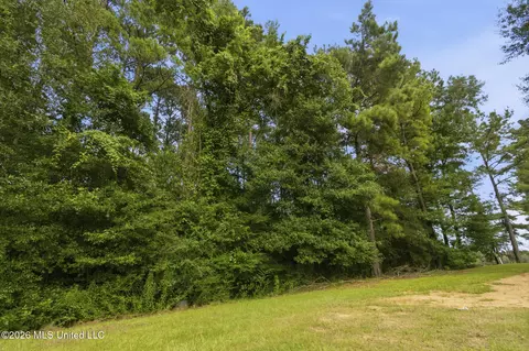 Other - 918 Zetus Rd, Brookhaven, MS 39601 photo 6 of 6