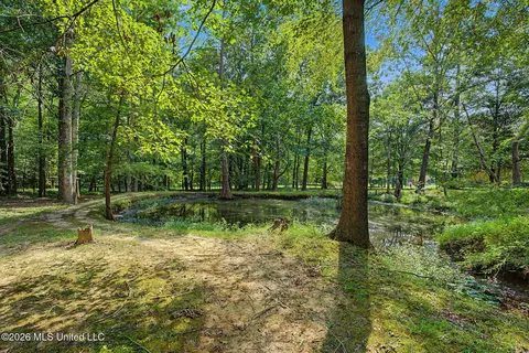 Exterior - 12985 Pine Crest Dr, Olive Branch, MS 38654 photo 13 of 17