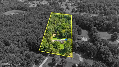 View/Area - 12985 Pine Crest Dr, Olive Branch, MS 38654 photo 4 of 4