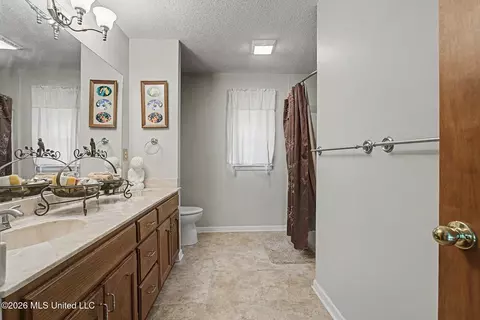 Bath - 12985 Pine Crest Dr, Olive Branch, MS 38654 photo 4 of 4