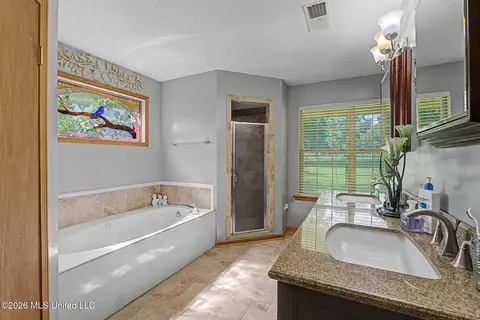 Bath - 12985 Pine Crest Dr, Olive Branch, MS 38654 photo 1 of 4