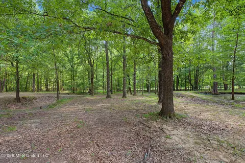 Exterior - 12985 Pine Crest Dr, Olive Branch, MS 38654 photo 14 of 17