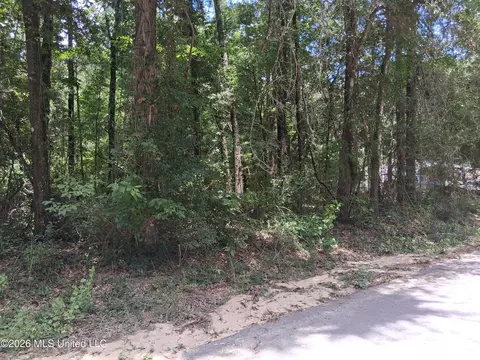 Singing River Drive, Lucedale, MS 39452 photo 3