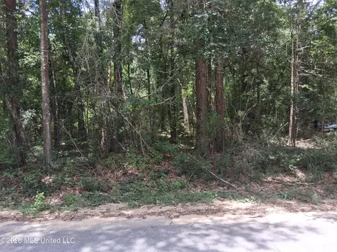 Singing River Drive, Lucedale, MS 39452 photo 6