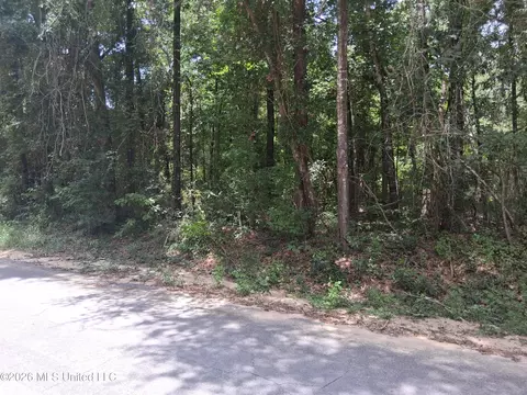 Singing River Drive, Lucedale, MS 39452 photo 5