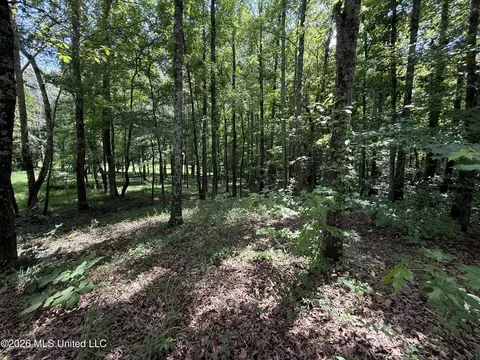 Summer Oaks Drive, Lamar, MS 38642 photo 8