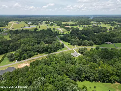 Summer Oaks Drive, Lamar, MS 38642 photo 4