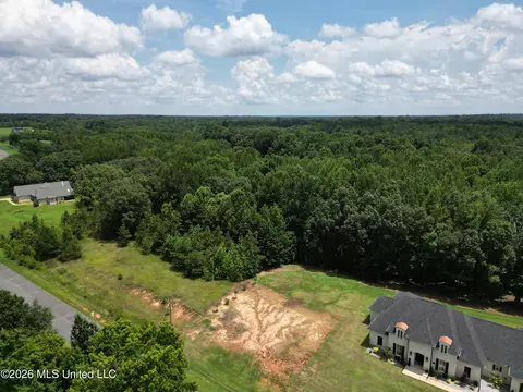 Summer Oaks Drive, Lamar, MS 38642 photo 6