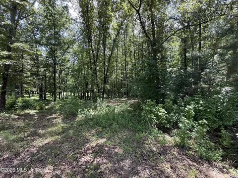 Summer Oaks Drive, Lamar, MS 38642 photo 7