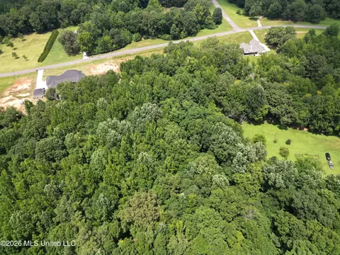 Summer Oaks Drive, Lamar, MS 38642 photo 3